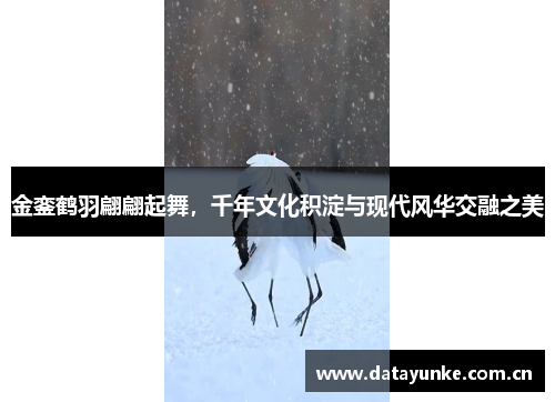 金銮鹤羽翩翩起舞，千年文化积淀与现代风华交融之美