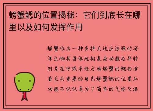 螃蟹鳃的位置揭秘：它们到底长在哪里以及如何发挥作用